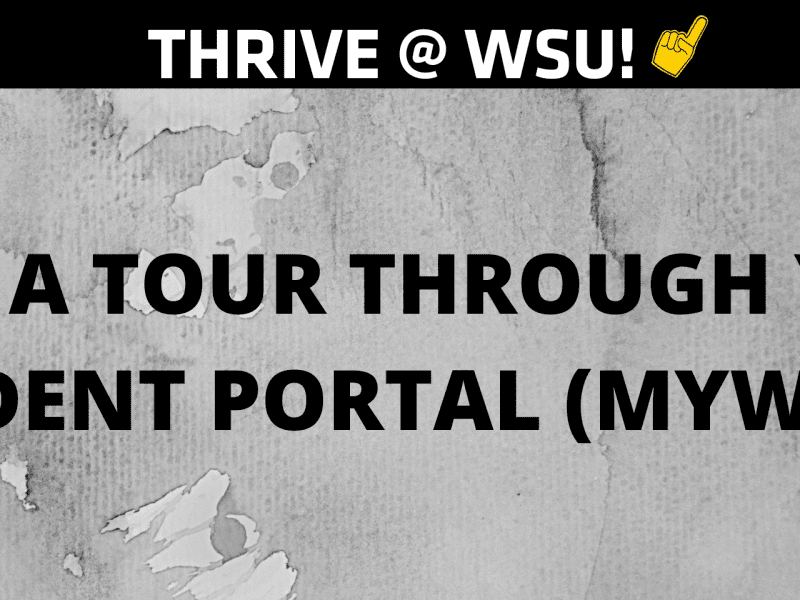 Graphic featuring text "NEED A TOUR THROUGH YOUR STUDENT PORTAL (MYWSU)?"