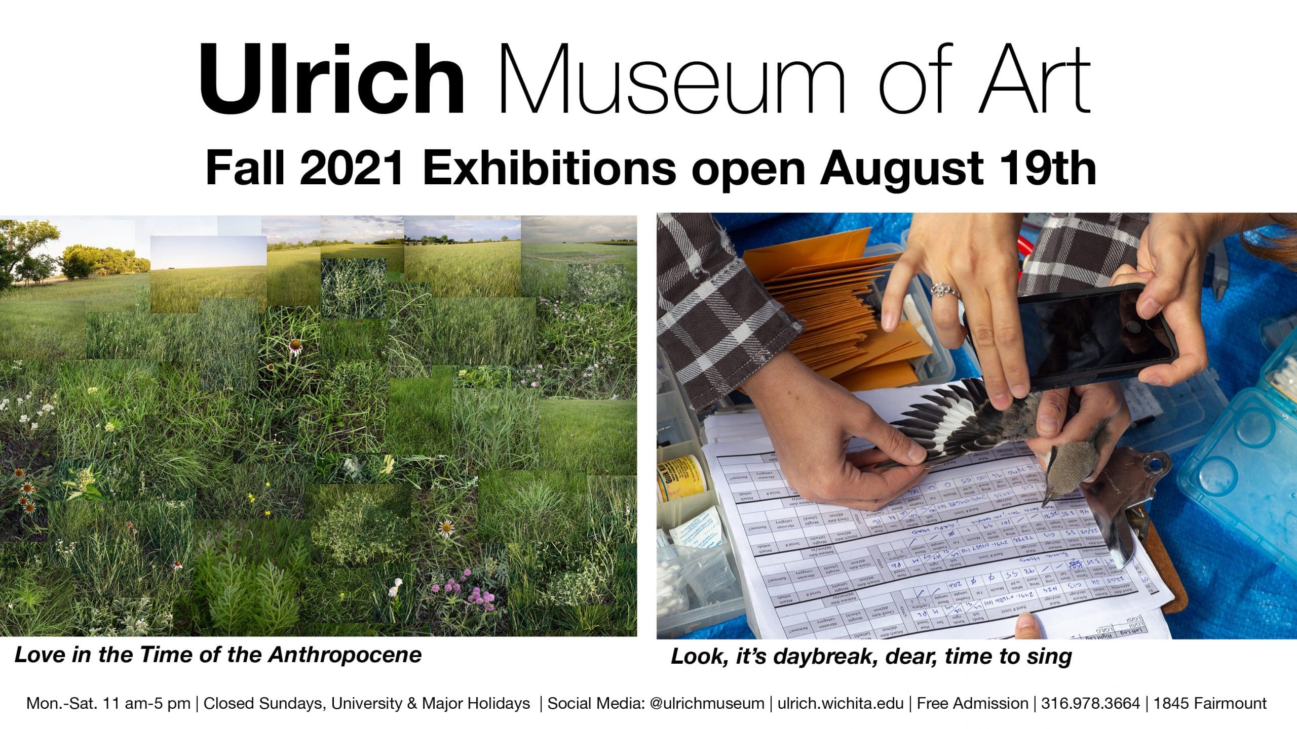 Ulrich Museum of Art. Fall 2021 Exhibitions. "Love in the Time of the Anthropocene" and "Look, it's daybreak, dear, time to sing"