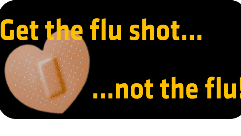 Get the flu shot... not the flu!