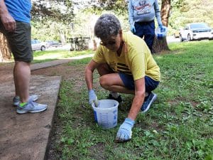 A volunteer picks up litter as part of WSU Environmental litter study.