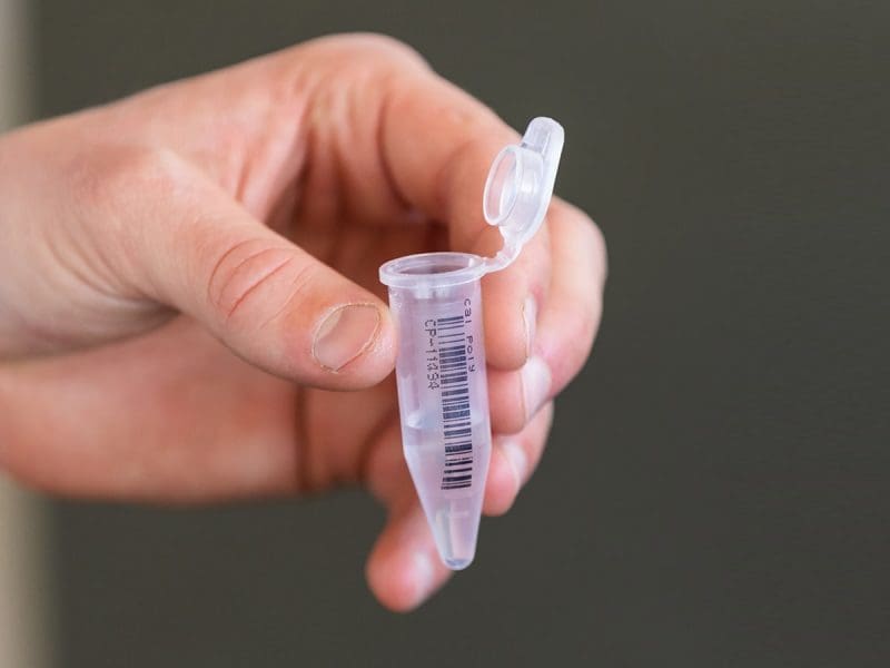 Image of hand holding COVID saliva test sample.