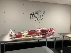 The College of Health Professions’ human simulation laboratory features Syndaver cadaver manikins, ultra-high-fidelity synthetic simulation models that are made entirely out of silicone.