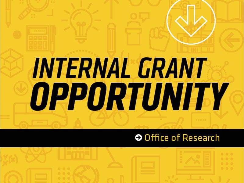 Image featuring text Internal Grant Opportunity and Wichita State logo.