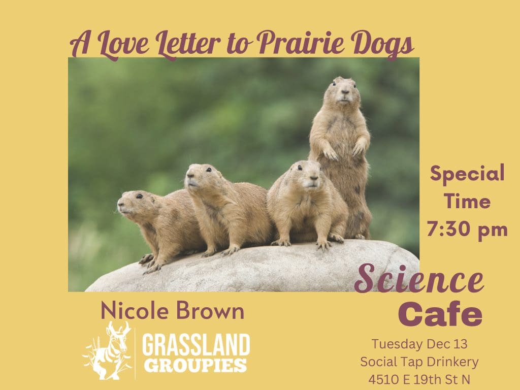A love letter to prairie dogs. Special time, 7:30pm. Science Cafe. Nicole Brown.