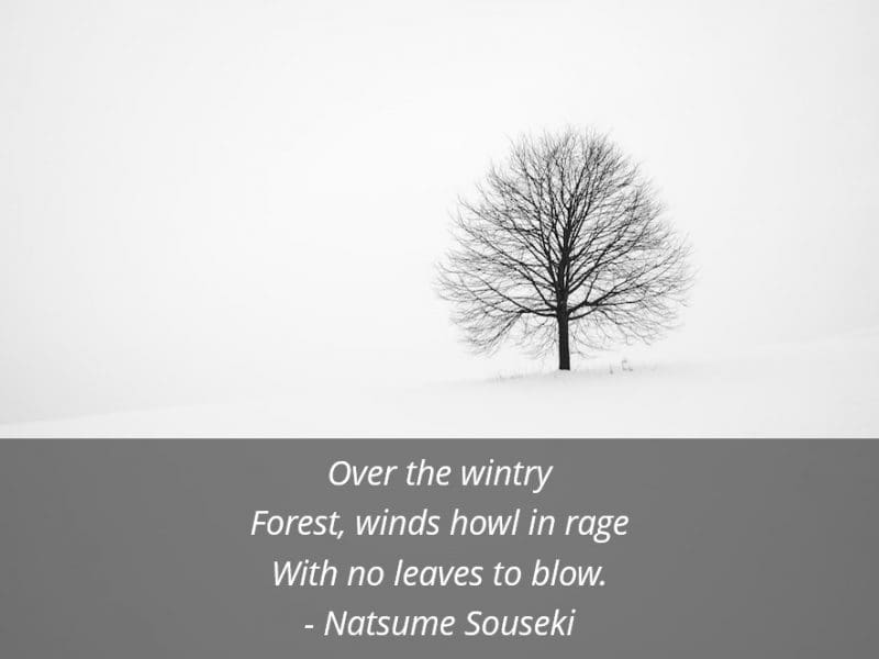 A wintery landscape with a leafless tree in the center accompanied by a poem which reads, "Over the wintry Forest, winds howl in rage With no leaves to blow. by Natsume Souseki"