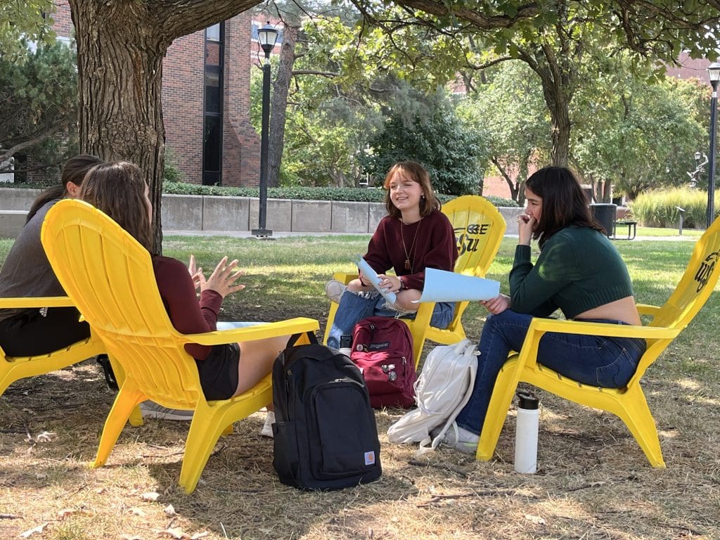 Photo of students sitting on a lawn.