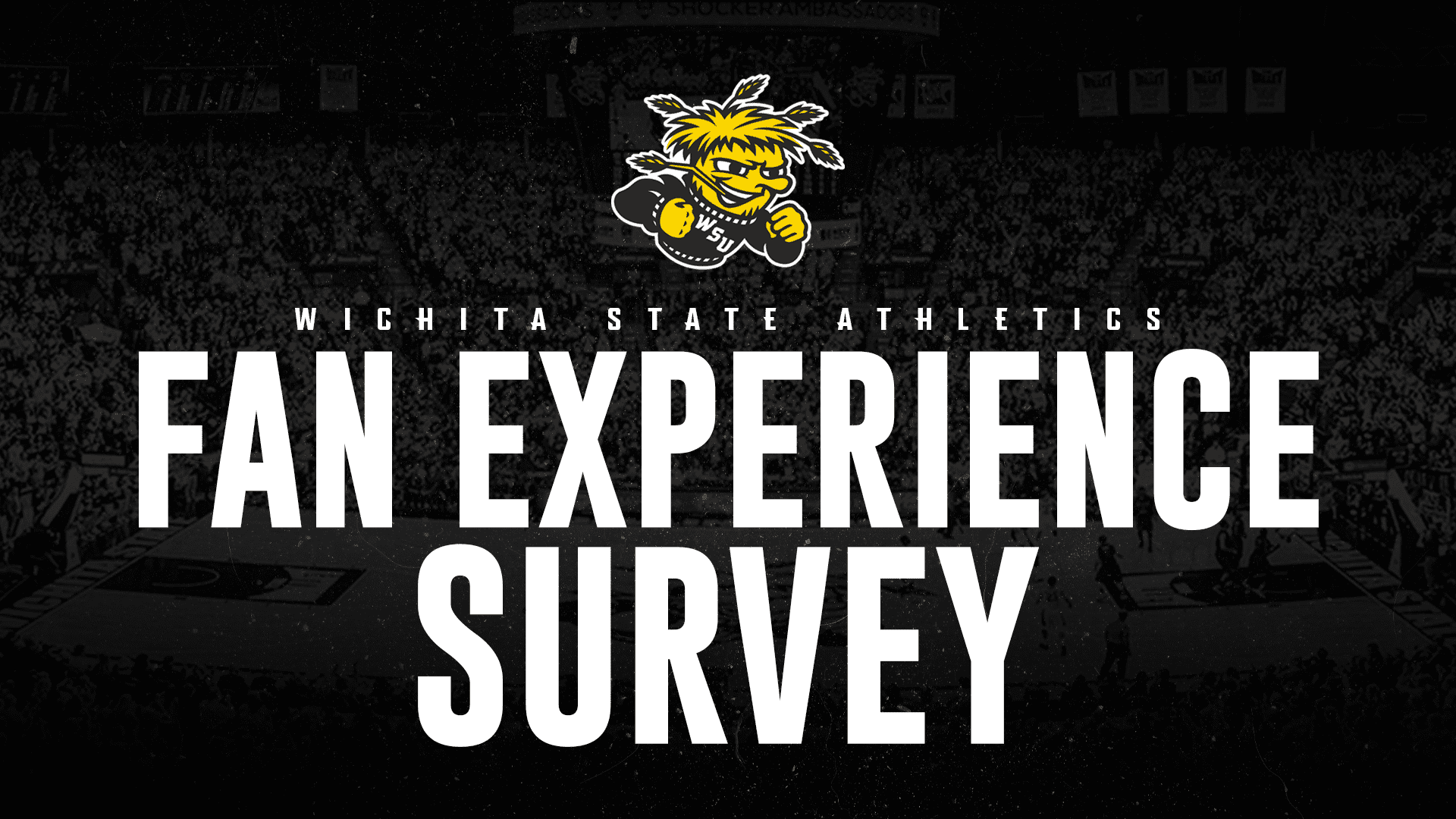 Graphic with the text, "Wichita State Athletics Fan Experience Survey" and the WuShock logo.