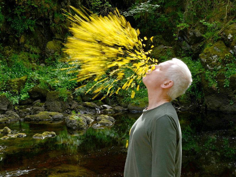 A man blows yelllow flower petals into the wind in a natural setting.