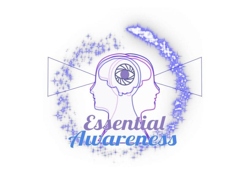 In the center there is two silhouettes of a person's head. Each silhouette is facing opposite directions with the visual representation of both silhouette's eye perception. There is also a glowing circle around the silhouettes. Underneath all of this there are the words "Essential Awareness"