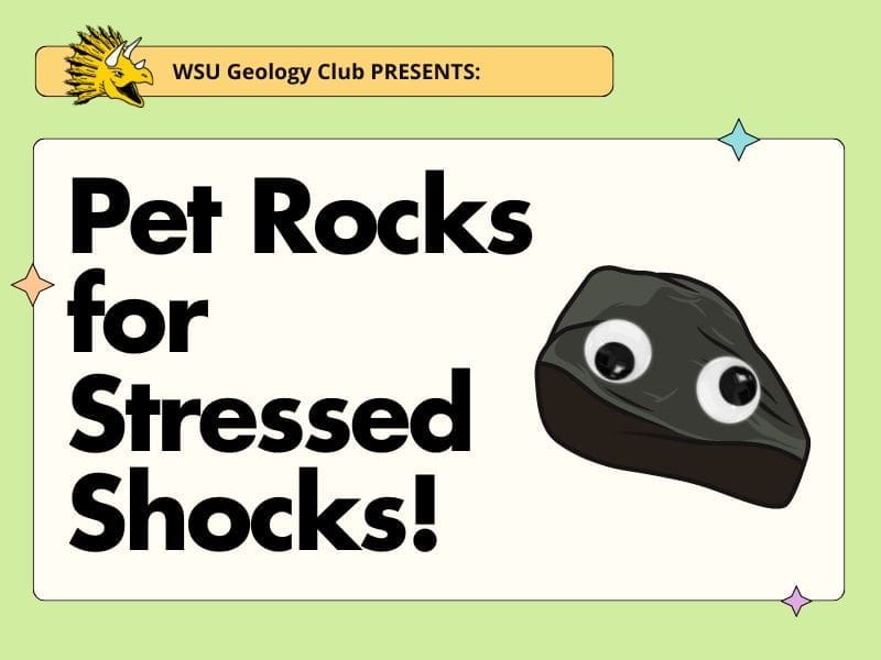 WSU Geology Club presents Pet Rocks for Stressed Shocks on Wednesday, May 1st in RSC 264 from 1PM to 3PM