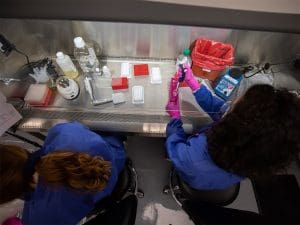 Students work on specimens in the Molecular Diagnostics Laboratory