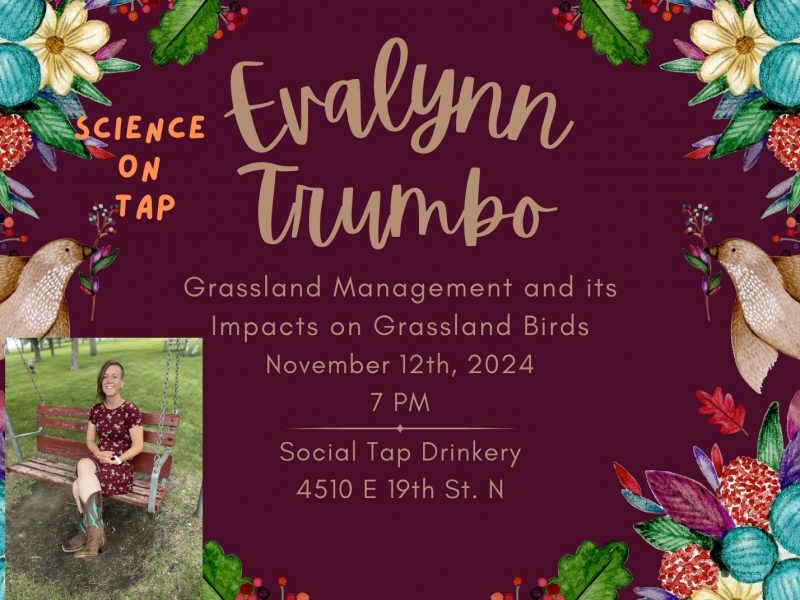 Evalynn Trumbo, Science on Tap. Grassland Management and its impacts on grassland birds. Nov 12th, 2024. 7pm. Social Tap Drinkery. 4510 E 19th St. N.