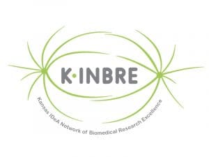 Logo for K-INBRE which includes depictions of abstract cell division surrounding the word "K-INBRE." Below is the design is "Kansas IDeA Network of Biomedical Research Excellence."