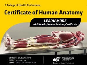 College of Health Professions Certificate of Human Anatomy Learn More wichita.edu/HumanAnatomyCertificate Contact: Dr. Sam Smith Phone 316-978-7194 Email: Samuel.Smith@wichita.edu