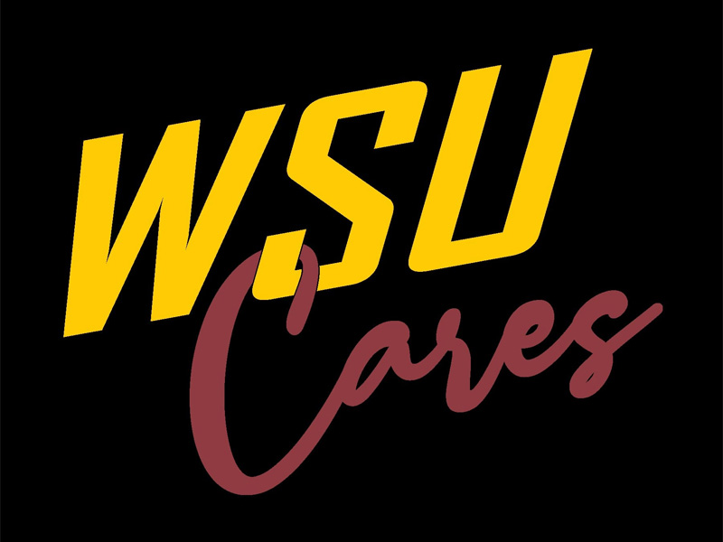WSU CARES logo in maroon and yellow for the WSU CARE Team. Image states "WSU CARES"