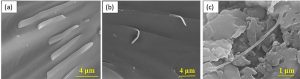 Scanning Electron Micrographs of the fractured surfaces of nanocomposites test specimens, showing fiber breakage, pull-out, and bridging effects of the FHCNTs reinforcements.