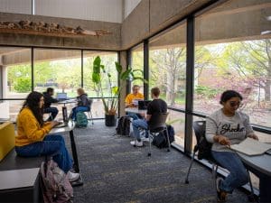 Students study in the Ablah Library