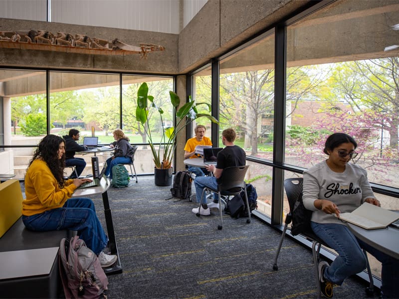 Students study in the Ablah Library