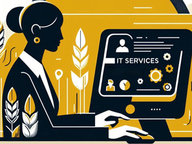 Illustration of a person looking up ITS Services on their computer.
