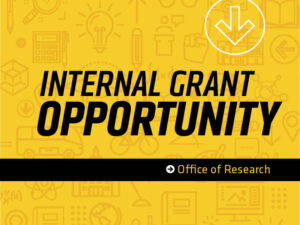 Decorative Image: Office of Research Internal Grant Opportunity