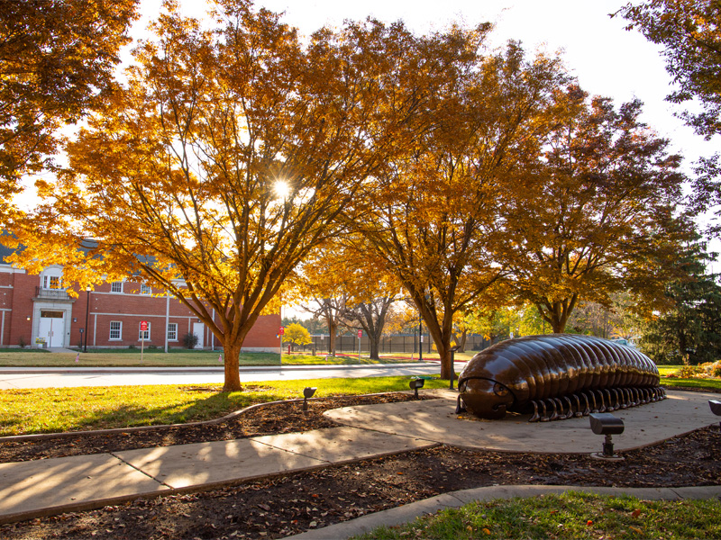 Millie the Millipede on campus with fall foliage