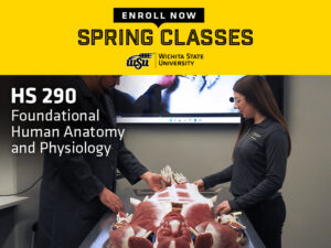 Enroll now, spring classes. HS 290 Foundational Human Anatomy and Physiology with a picture of WSU students examining a fake body on a table.