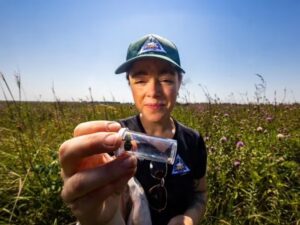Photograph of Alexandra Morphew standing in a large flower field while looking at a bee in a small, plastic vial she is holding.