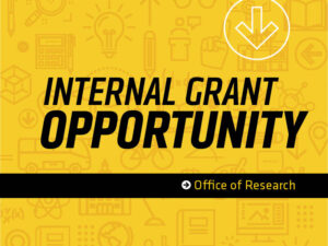 Decorative Image: Office of Research Internal Grant Opportunity