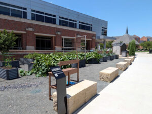 Rows of boxes filled with different greens and a shed in the background, with the RSC in the back