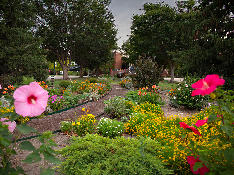 Millie the Millipede sits in a garden of flowers and trees