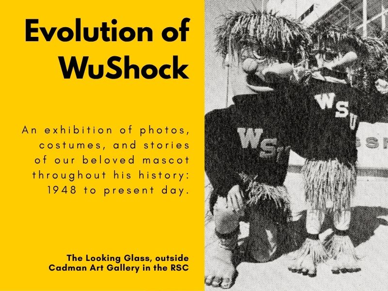 Evolution of WuShock, An exhibition of photos, costumes, and stories of our beloved mascot throughout his history: 1948 to present day. The Looking Glass, outside Cadman Art Gallery in the RSC.