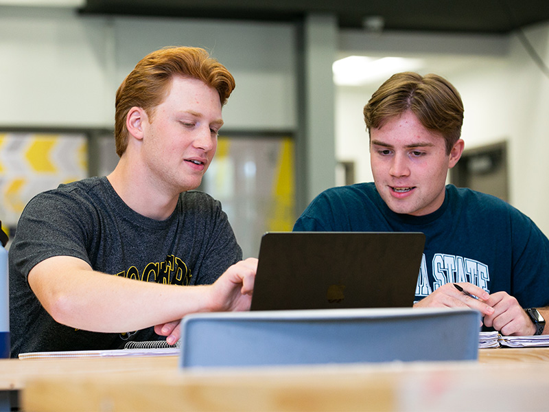 Students work together to help each other fill out a job application on a computer