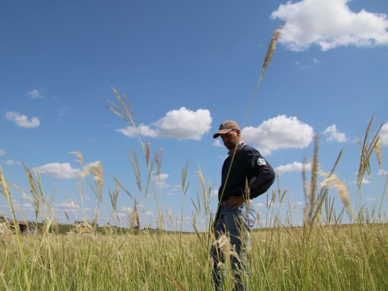 Keith Harmoney standing in a field of prairie grasses. The image is taken from below, so grasses are seen in the foreground. Behind Keith is a blue sky with white, puffy clouds.