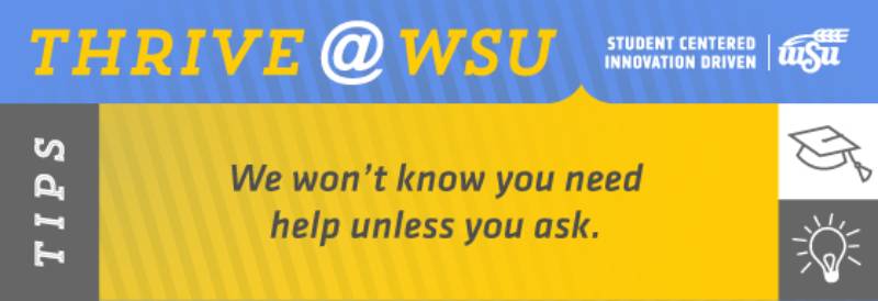 SEM Tip 83120