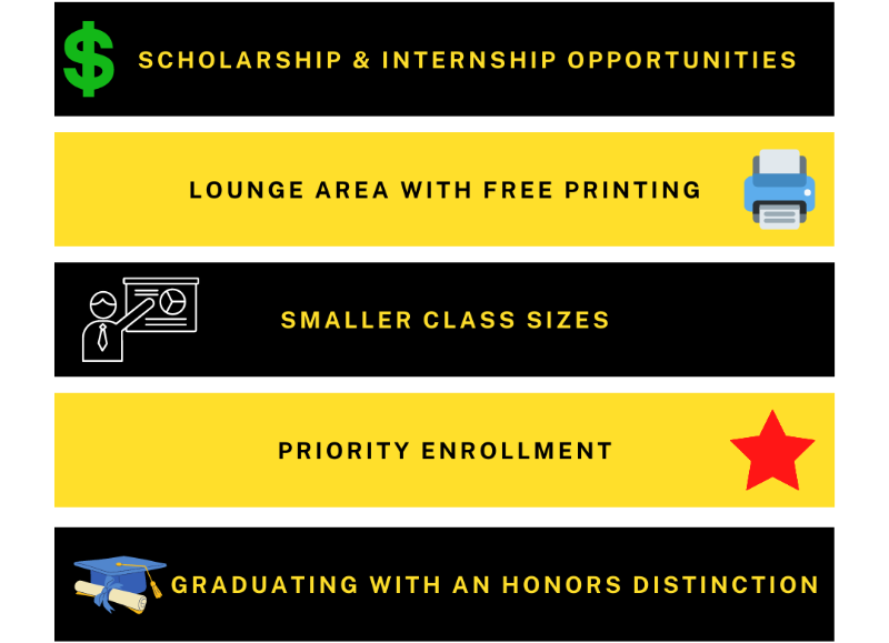 Cohen Honors College