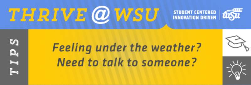SEM Tip for students