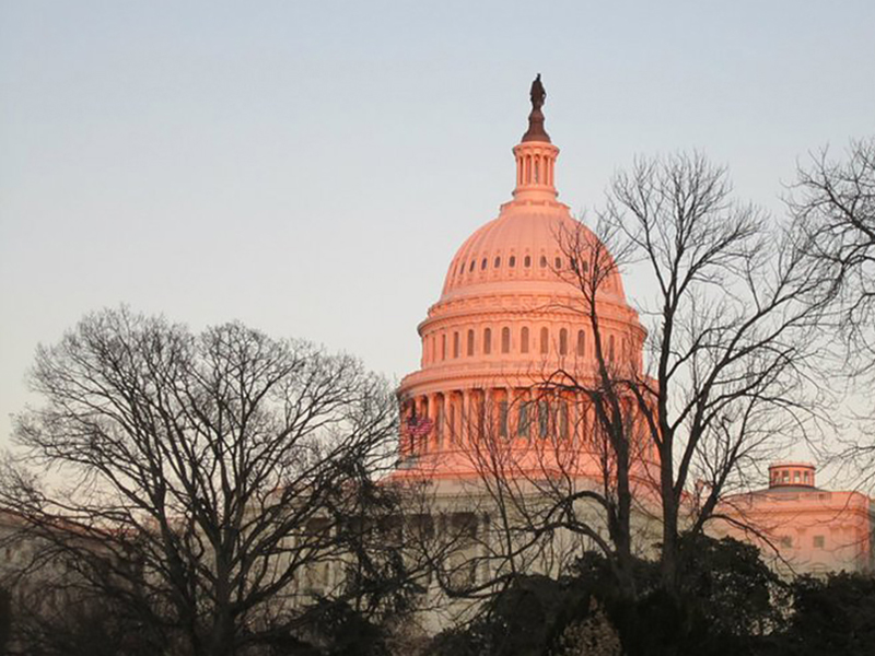 Political Science interns