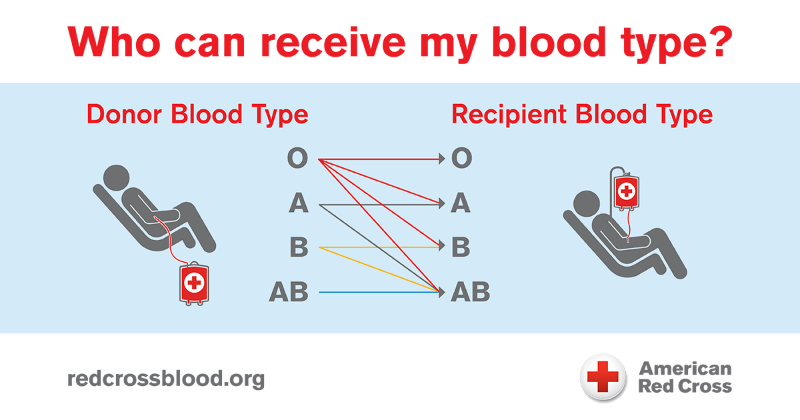 WSU Blood Drive April 2019