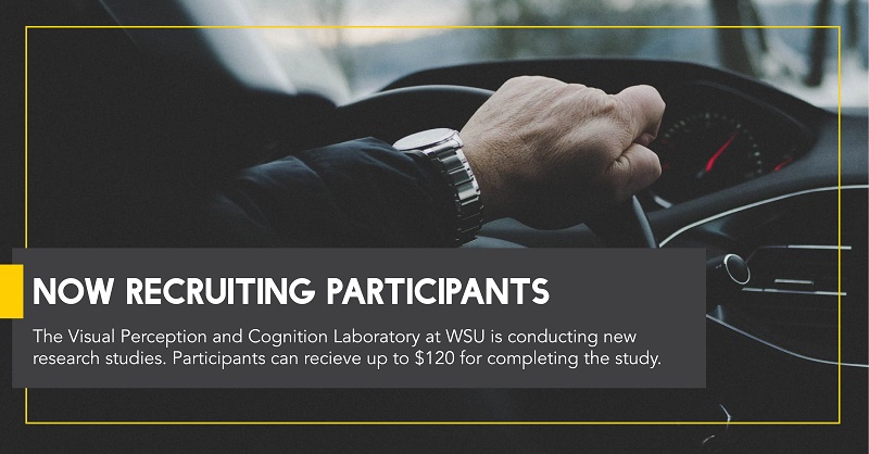 Visual Perception Study May 2019
