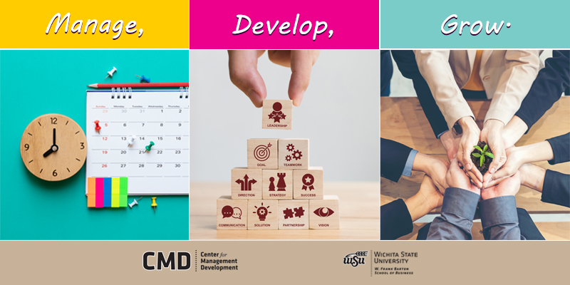 CMD workshops January 2020