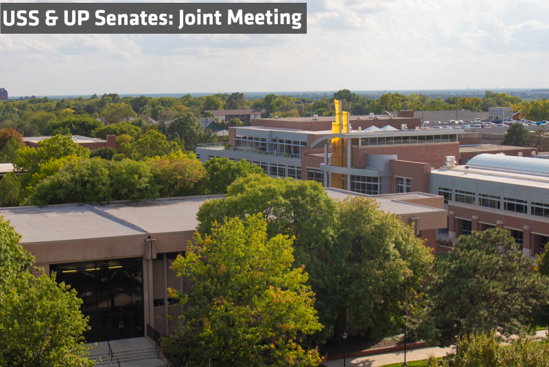 Joint Senate Meeting Feb. 18, 2020
