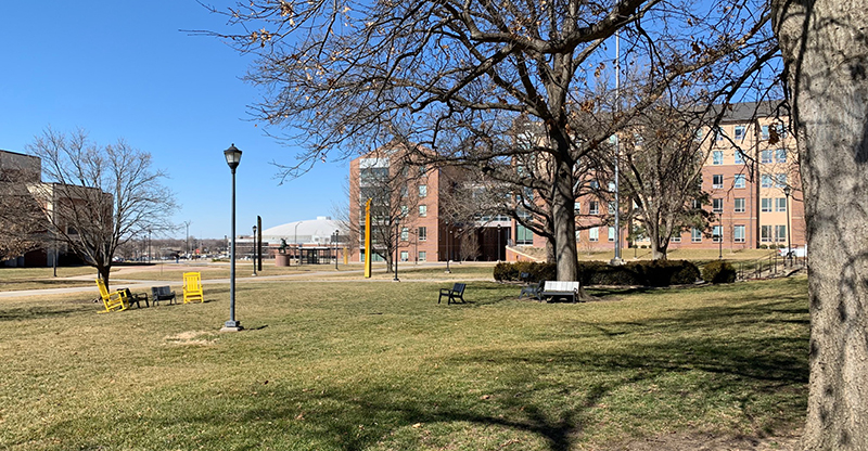 Lawn of Morrison Hall Lawn of Morrison Hall