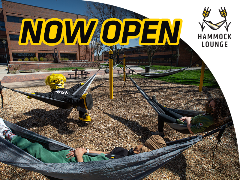 Now Open Hammock Lounge